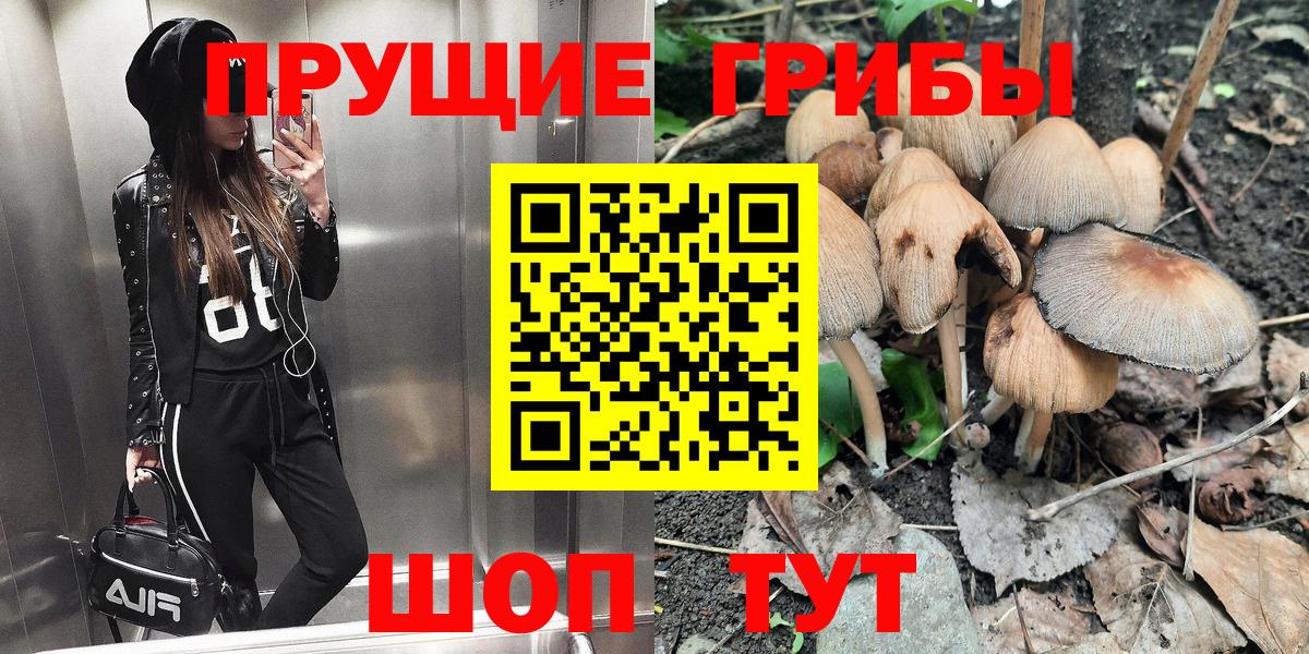 Псилоцибиновые грибы Psilocybine cubensis  Вход с VPN  Нижнеудинск 